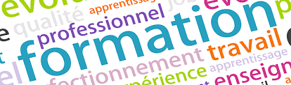Audit des besoins de formation: comment optimiser votre gestion du personnel avec un audit gratuit en RH dans les Bouches du Rhône