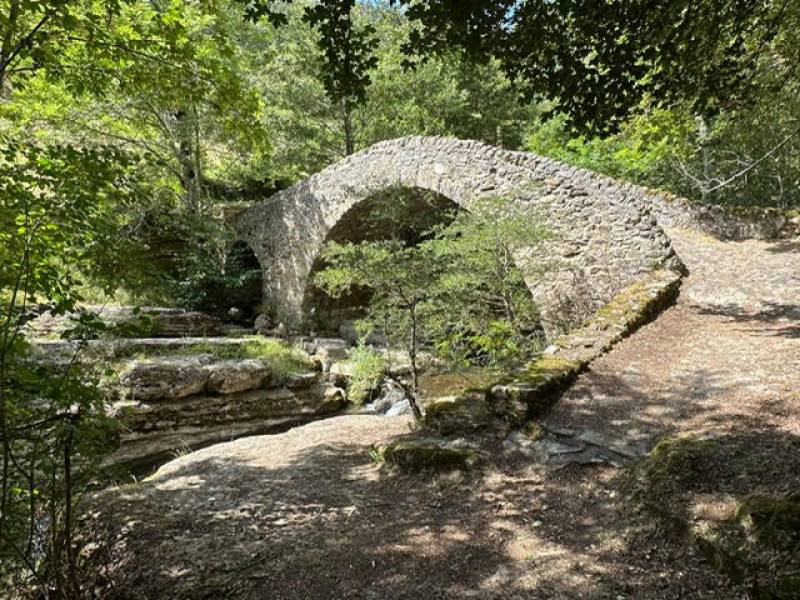 Coach ou coaching dirigeant et chef d'entreprise TPE/PME secteur BTP à Salon-de-Provence