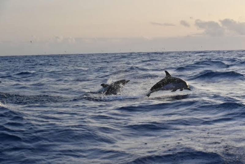 Pourquoi l’outil prédictive index est essentiel pour les dirigeants d’entreprise ?